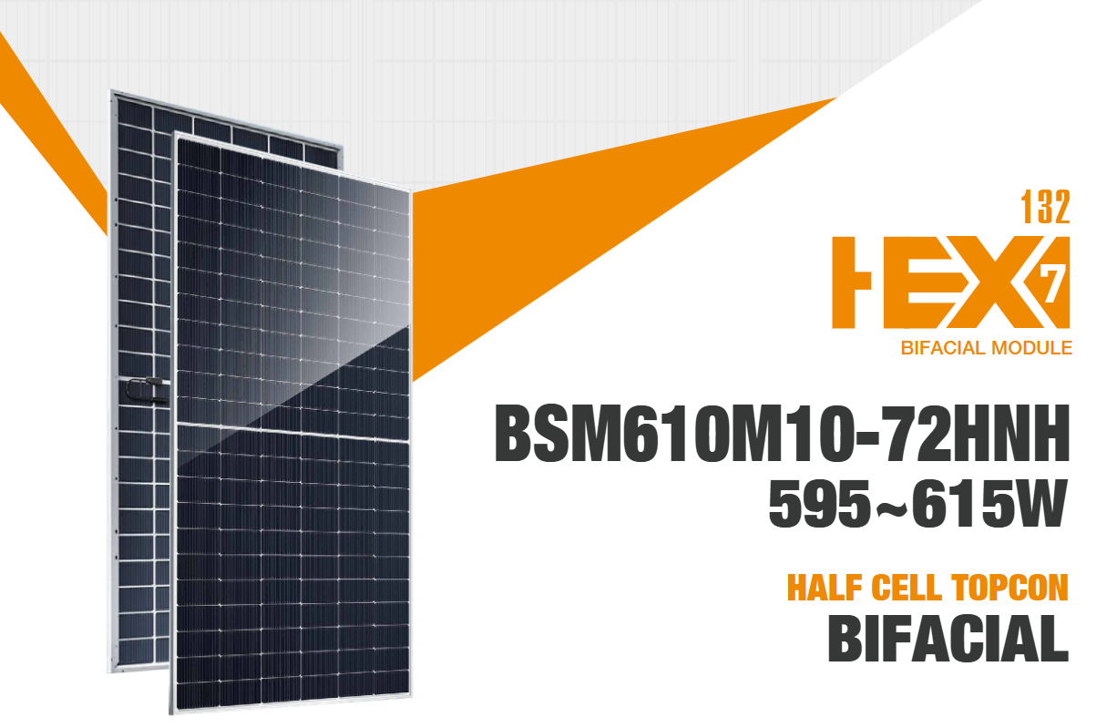 Bluesun BSM610M10-72HNH Solar Panel